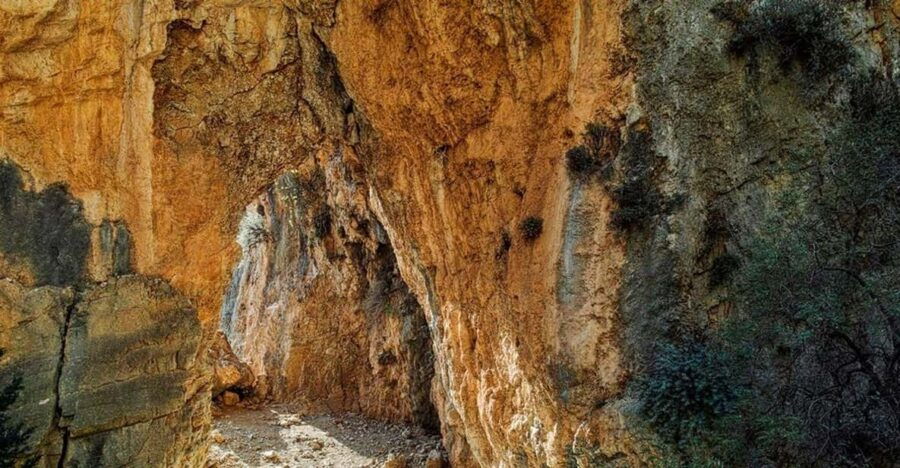 From Chania:Imbros Gorge and Sfakia Full-Day Hiking Tour