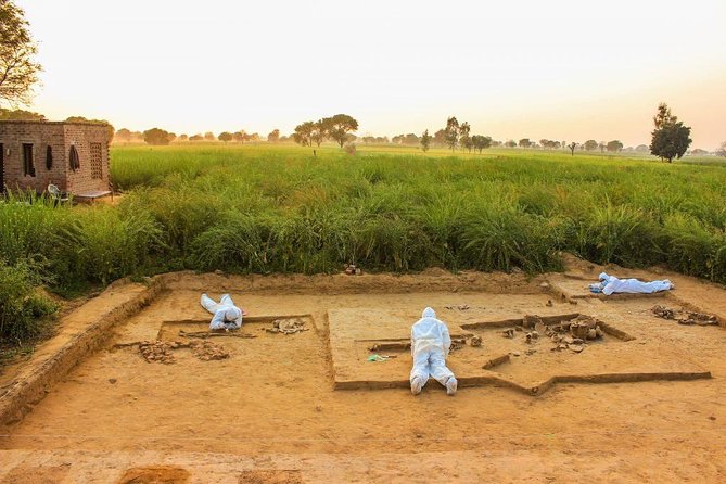 From Delhi Indus Civilization Archaeological Site Discovery