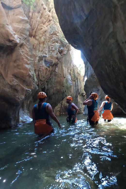 From Estepona: Guadalmina River Guided Canyoning Adventure - Overview of the Activity