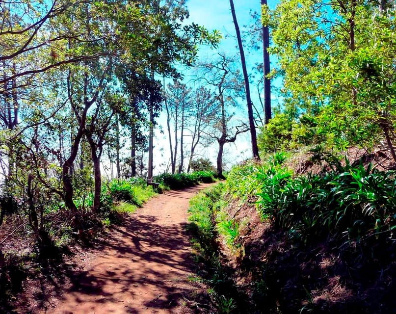From Funchal: East Side of Madeira and Santana Tour - Tour Overview