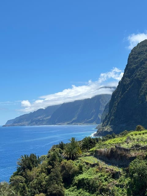 From Funchal: One Day Tour to Fanal - Seixal - Porto Moniz - Tour Overview