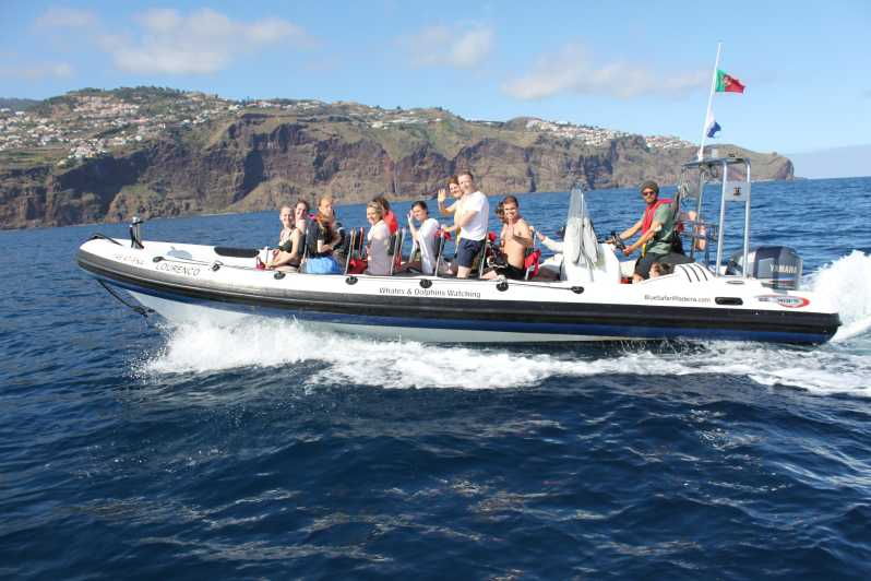 From Funchal: Whales and Dolphin Adventure Tour - Tour Overview