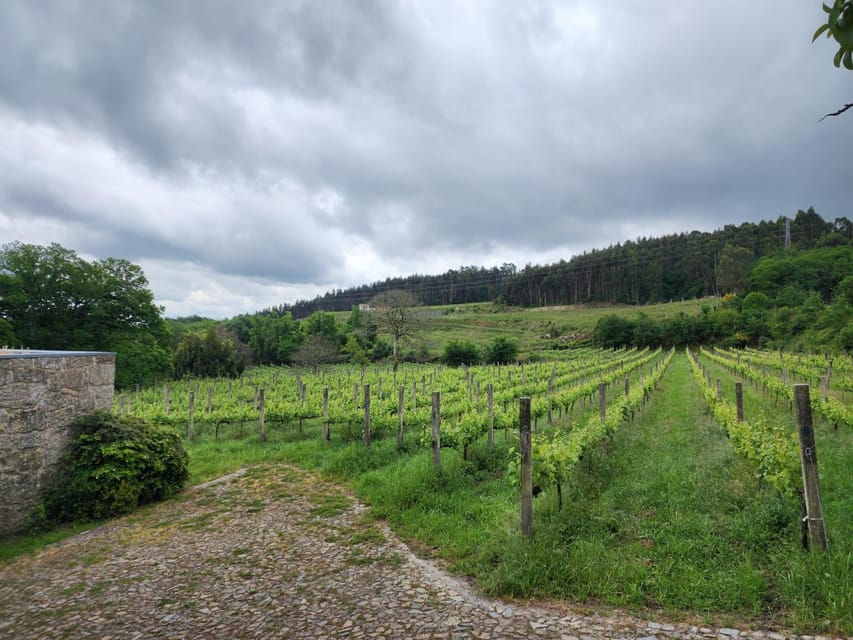 From Guimarães: Full-Day Tour in Guimarães and Fafe
