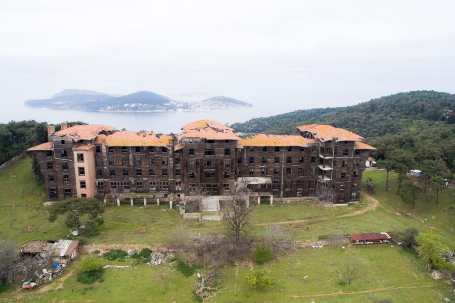 From Istanbul: Büyükada Walking Full-Day Tour - Tour Overview