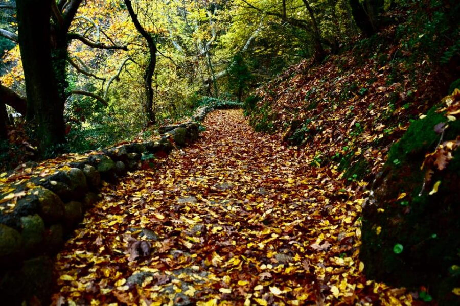 From Kalabaka: Guided Hiking Tour in Meteora - Tour Overview