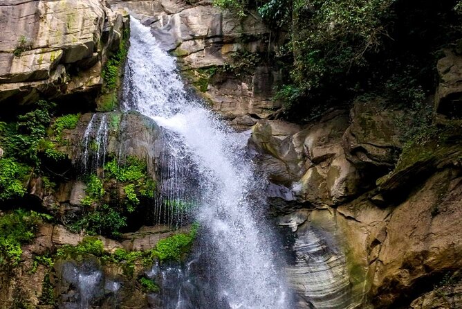 From Kandy Visit Yala Saffari and Drop Mirissa One Day - Inclusions and Services Provided