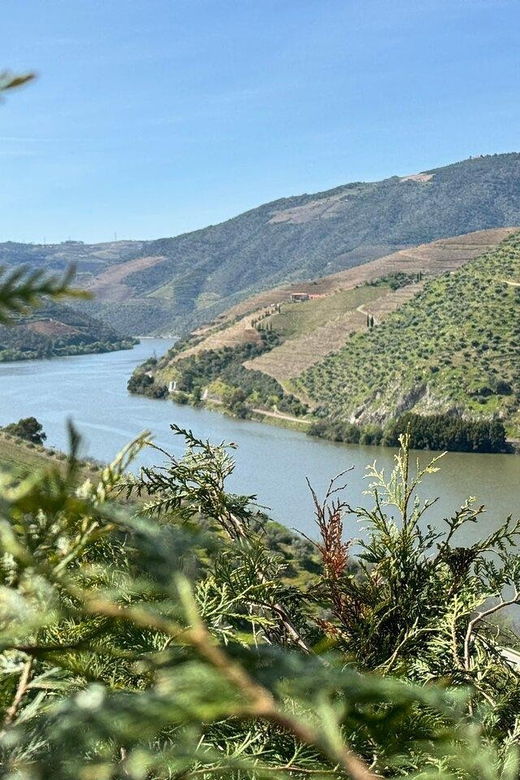 From Lisbon to Porto With Stop in Douro Valley