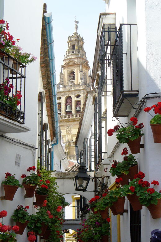 From Madrid: Cordoba Day Trip by High-Speed Train