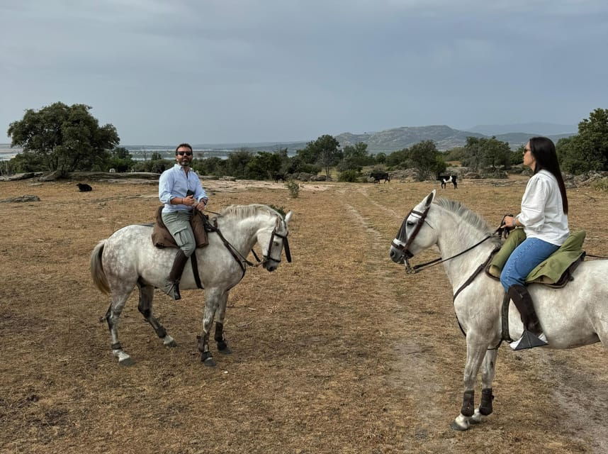 From Madrid: Horseback Riding Experience