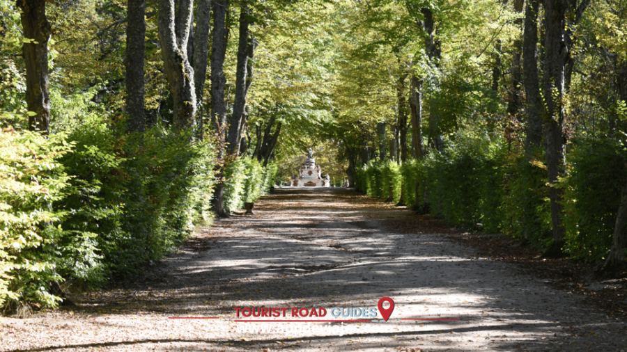 From Madrid: San Ildefonso Farm, Lunch and Segovia Tour - Tour Overview
