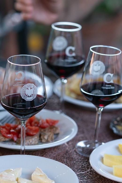 FROM MONTECATINI TERME: E-BIKE TOUR WITH WINE TASTING
