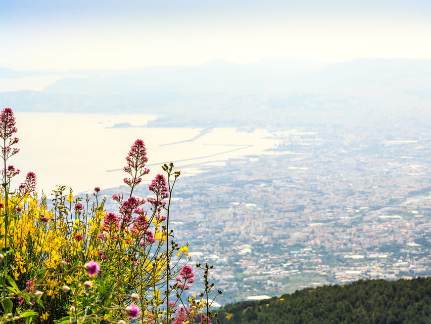 From Naples Port: Vesuvius and Pompeii Tour With Tickets