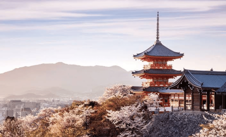 From Osaka: Kyoto Full Day Customized Private Tour - Tour Overview and Pricing