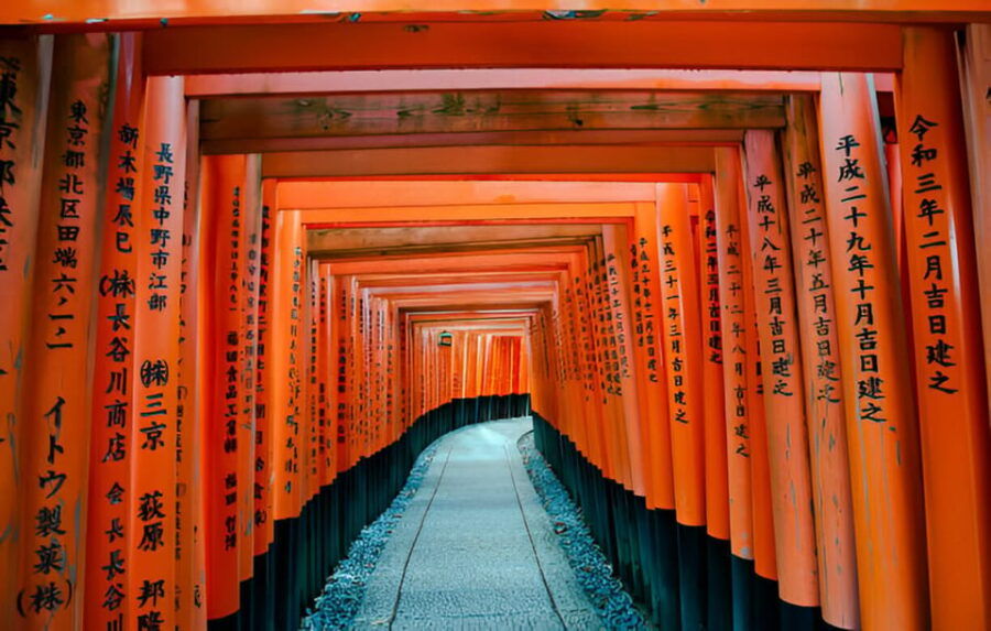 From Osaka or Kyoto: Kyoto and Nara Private Day Trip