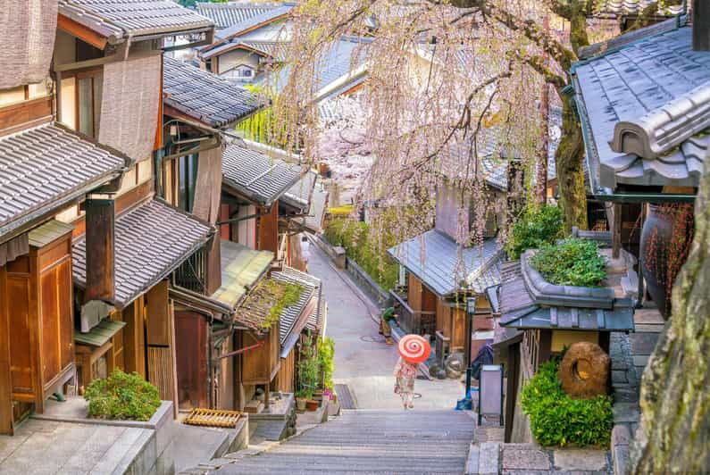 From Osaka or Kyoto : Kyoto & Nara Private Tour