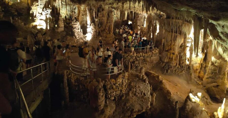 From Palma: Full Day Mallorca Tour With a Professional Guide