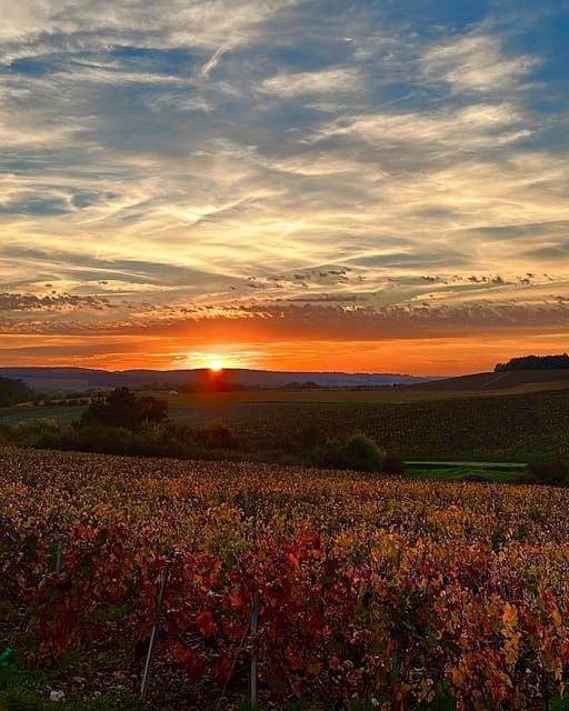 From Paris: Champagne, Gastronomy and Culture - Overview of the Experience