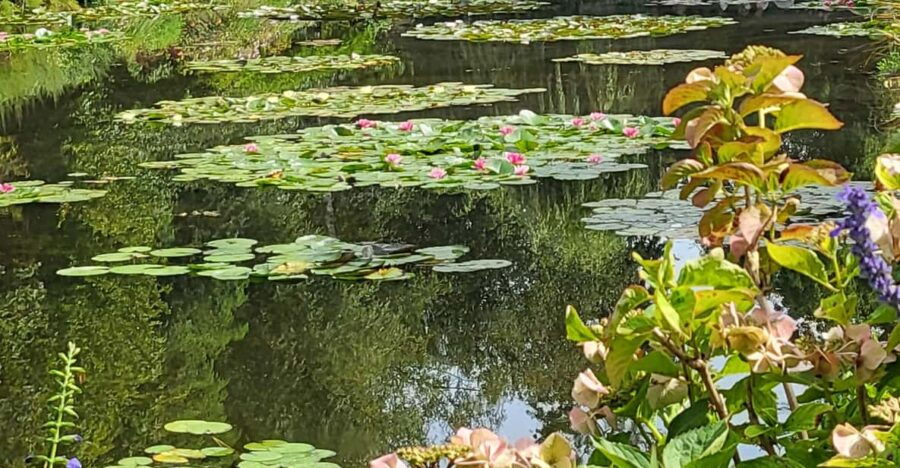 From Paris, Exclusive Small Group Giverny Tour With Lunch. - Tour Overview