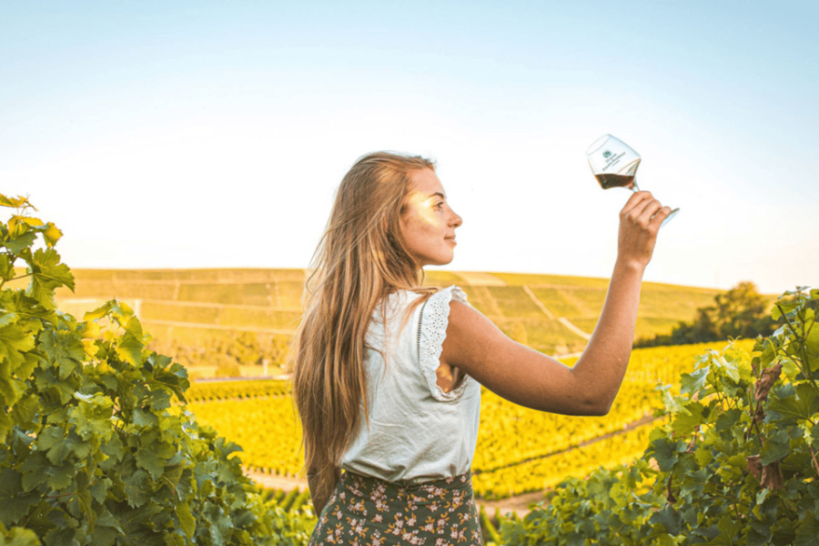 From Paris: Private Sancerre Wine Tour W 10 Tastings & Lunch - Tour Overview and Pricing