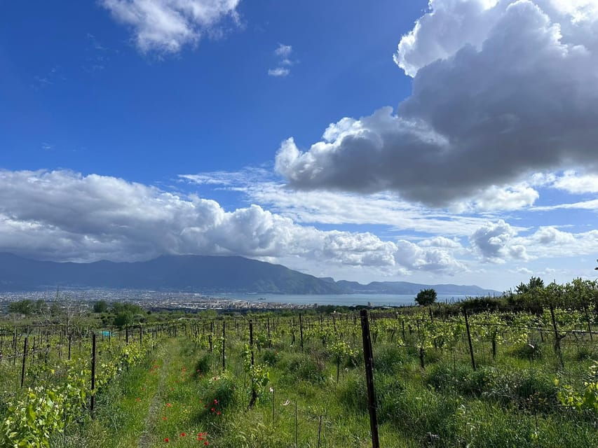 From Pompeii: Mount Vesuvius Horseback Riding Tour - Tour Overview