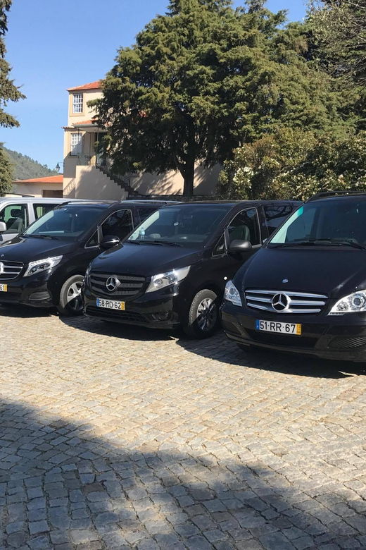 From Porto: Premium Douro Valley Small-Group Wine Tour
