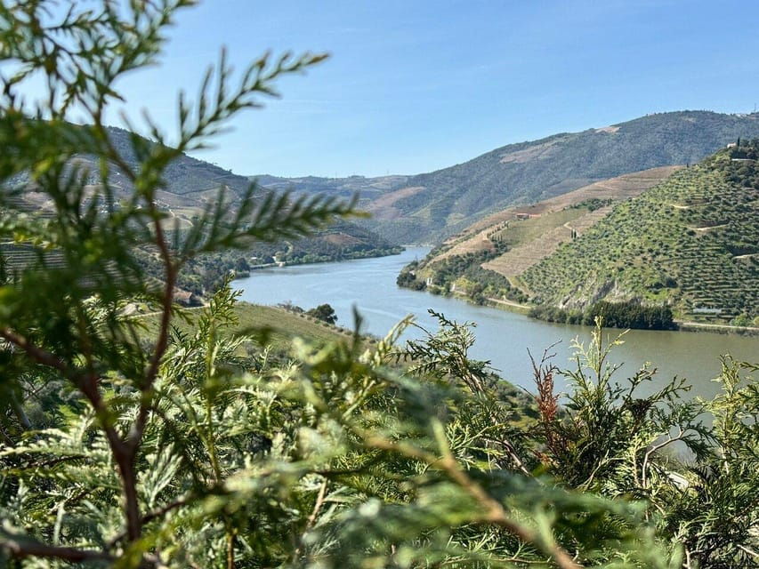 From Porto to Lisbon With Stop in Douro Valley