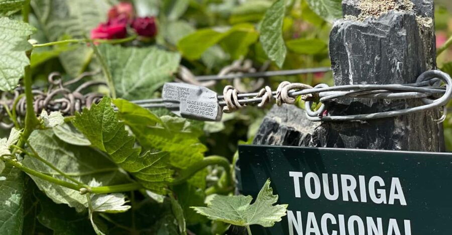 From Porto:Douro Valley Private Tour With Wine,Lunch, Cruise