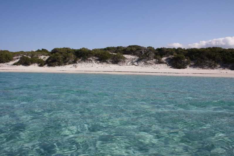 From Saint-Florent: Boat Transfer to Saleccia or Lotu Beach - Overview of Boat Transfer