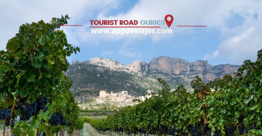 From Salou: Siurana Castle and Cornudella Winery - Tour Overview and Pricing