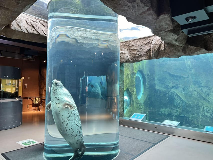 From Sapporo:Famous Asahiyama Zoo, Beautiful Biei&Furano - Overview of the Tour