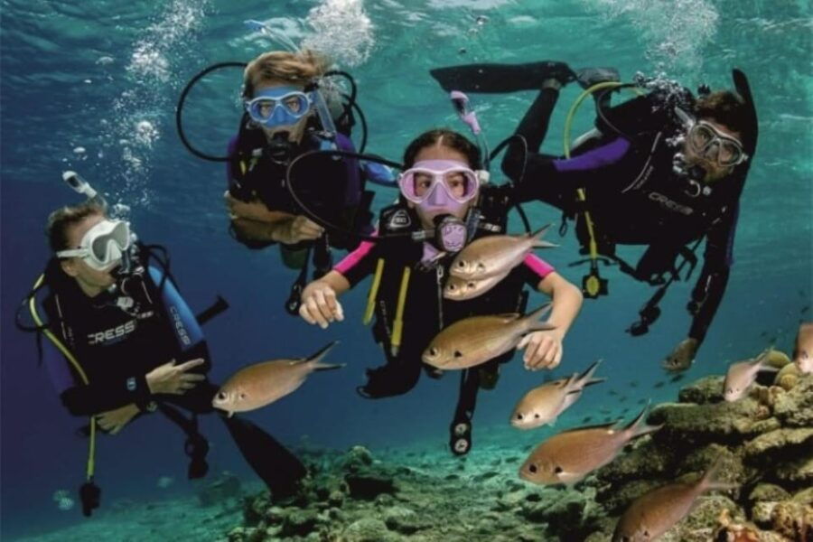 From Side: Scuba Diving: Explore the Depths