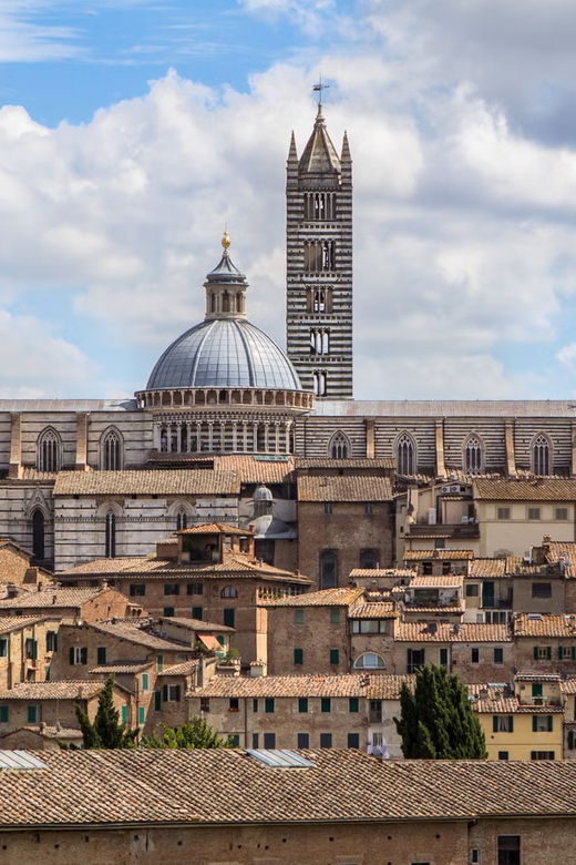 From Siena to Castello Di Brolio:E-Bike Tour+Shuttle Service - Itinerary Details