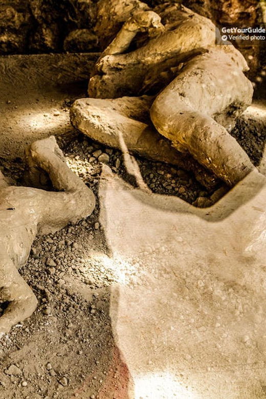 From Sorrento Cruise Terminal: Half-Day Pompeii Guided Tour