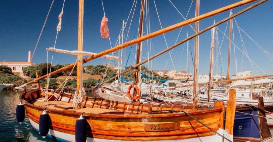 From Stintino: Half-Day Boat Tour to Asinara