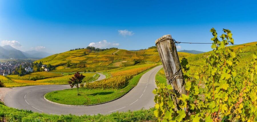 From Strasbourg: Half-Day Tour of Alsace Villages - Itinerary Highlights