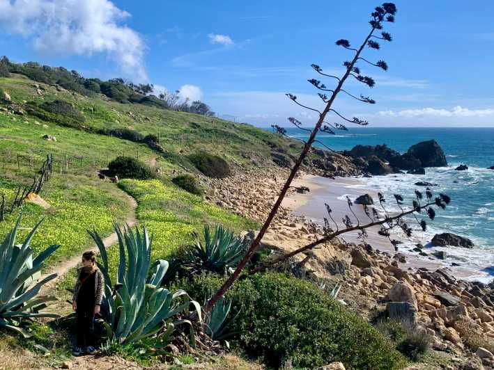 From Tarifa: Guided Hiking Tour in the Strait Natural Park - Tour Overview