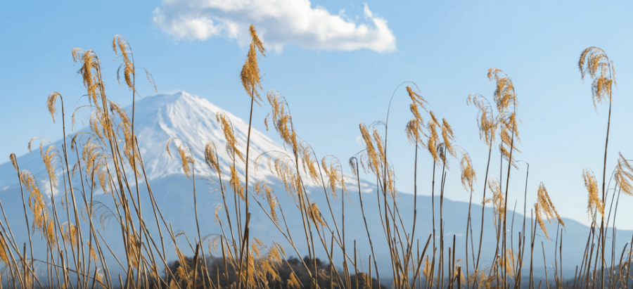 From Tokoyo – Mount FUJI Classic Highlight Joiner Day Tour