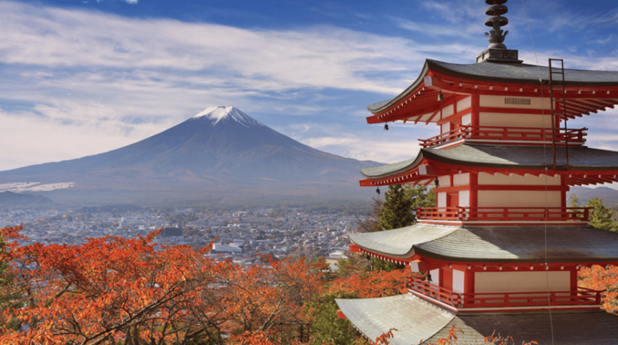 From Tokyo Custom Mt.Fuji Tour With the Private Van