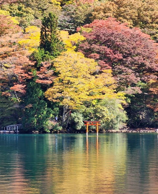 From Tokyo: Hakone 1 Day Private Tour With English Driver - Tour Overview and Pricing