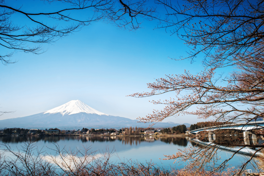 From Tokyo: Mount Fuji and Fuji 5 Lakes Private Guided Tour