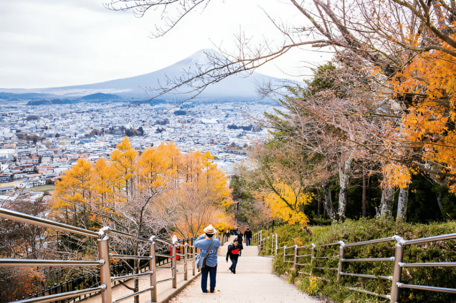 From Tokyo: Mount Fuji and Hakone Full Day Trip - Tour Overview and Pricing