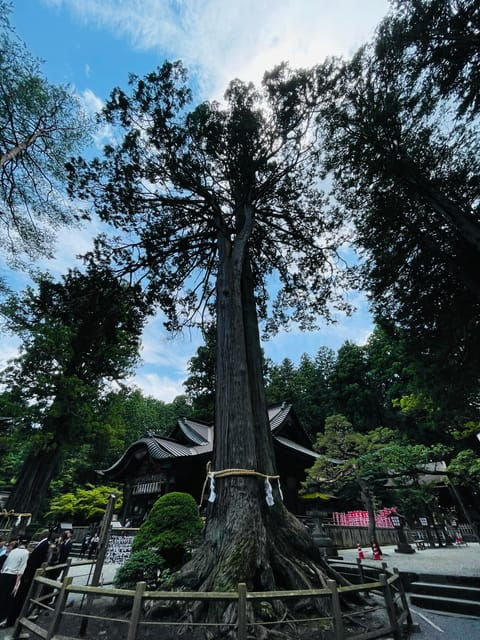 FROM TOKYO: MOUNT FUJI DAY TRIP WITH ENGLISH SPEAKING DRIVER