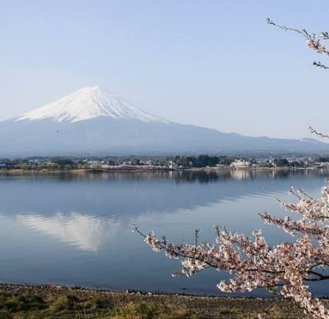 From Tokyo: Mount Fuji Day Trip - Tour Overview and Pricing