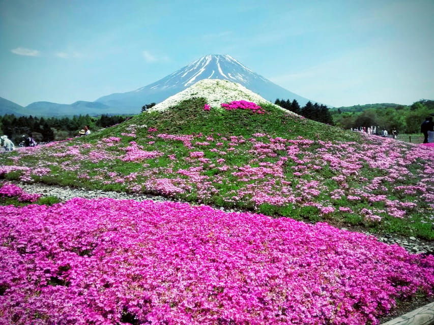 From Tokyo: Mount Fuji Instagram Spots 1-Day Private Tour