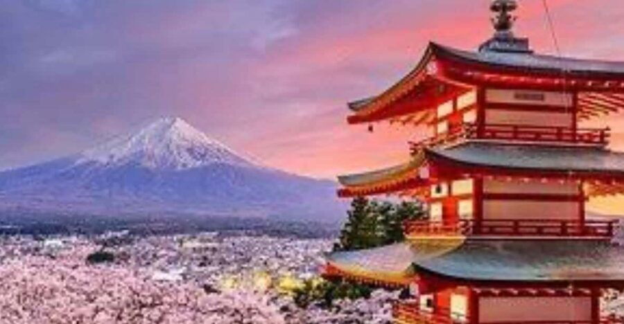 From Tokyo: Mount Fuji Private Day Trip