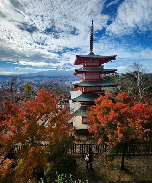 From Tokyo: Mount Fuji Private Tour With Driver - Tour Overview