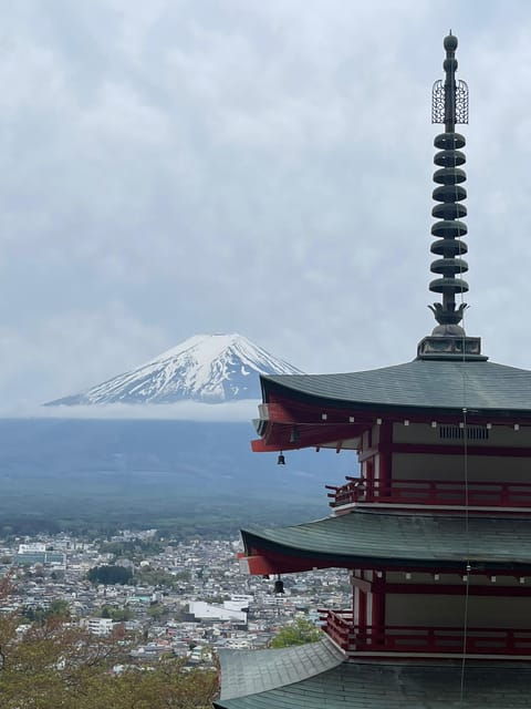 From Tokyo: Mt. Fuji 1 Day Private Tour With English Driver