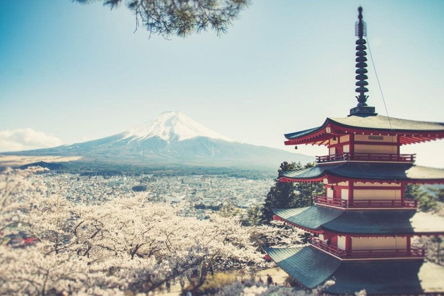From Tokyo: Mt. Fuji & Hakone One Day Private Tour
