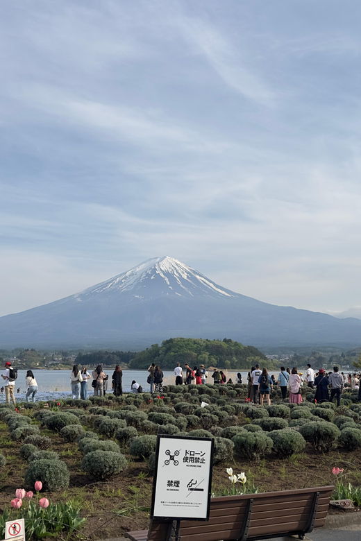 From Tokyo: Mt. Fuji Highlights Customizable Private Tour