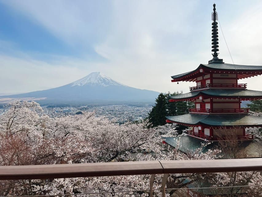 From Tokyo: Mt. Fuji Private Car Day Trip With Guide